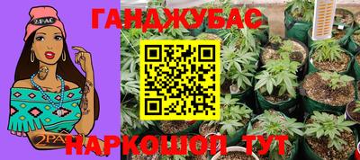 PSILOCYBIN Камышлов