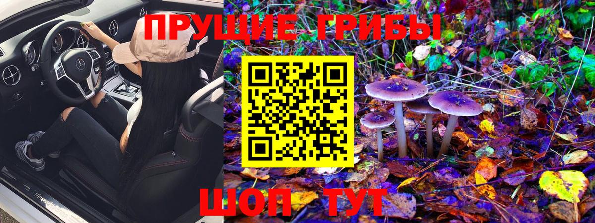 Псилоцибиновые грибы Psilocybe  Галлюциногенные грибы GOLDEN TEACHER  Вход с VPN  Киров 