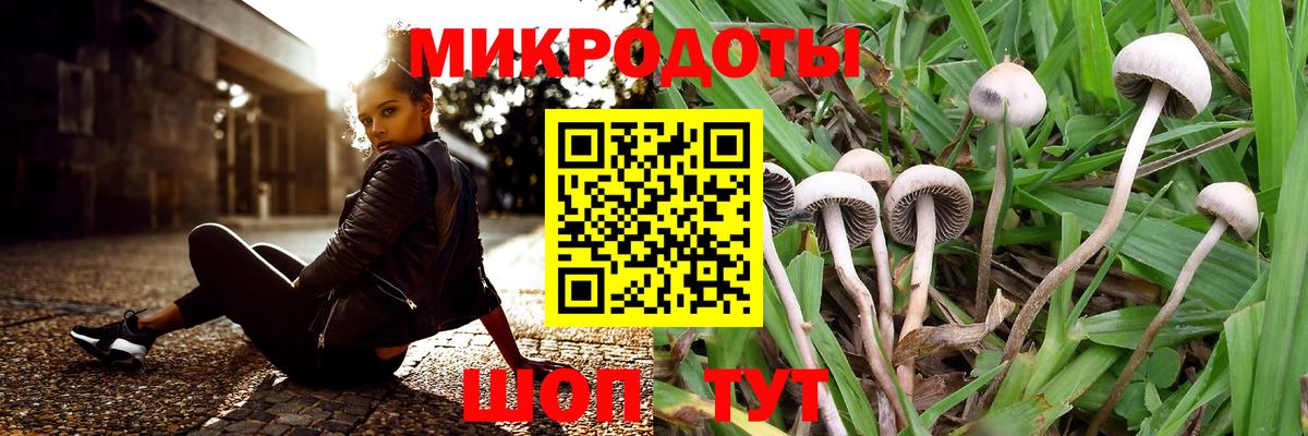 Псилоцибиновые грибы Cubensis Киров